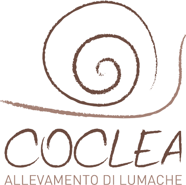 Lumache Coclea | Allevamento di lumache ai fini di estrazione di bava di lumaca ad uso cosmetico